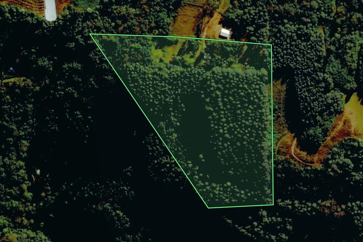 Imagem de satélite do imóvel rural em Farroupilha (RS), com o contorno declarado no CAR desenhado por cima.