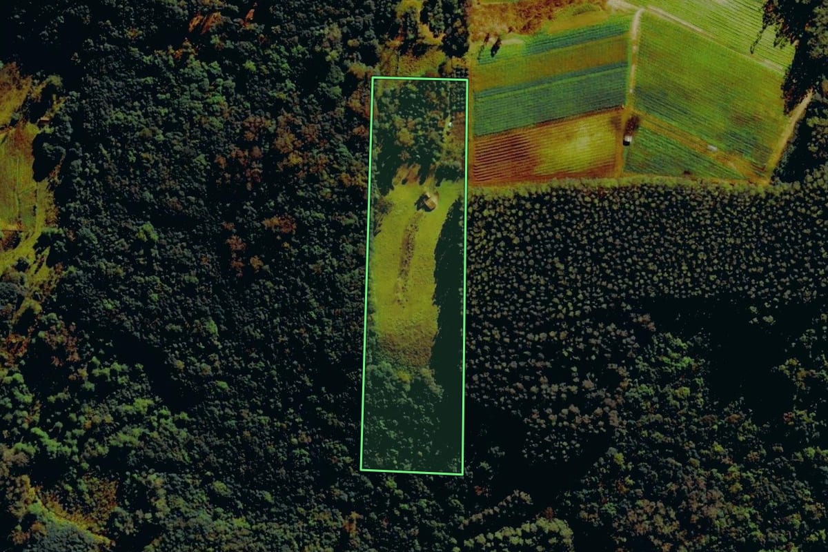 Imagem de satélite do imóvel rural em Farroupilha (RS), com o contorno declarado no CAR desenhado por cima.