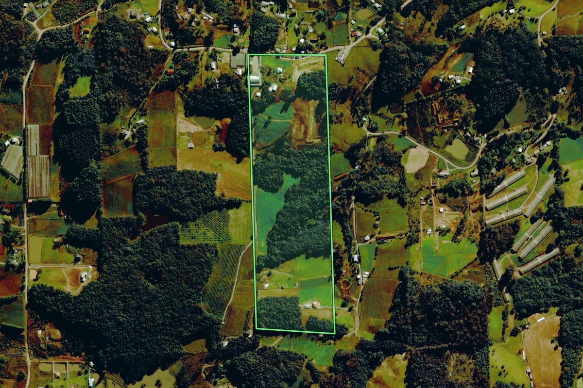 Imagem de satélite do imóvel rural em Farroupilha (RS), com o contorno declarado no CAR desenhado por cima.