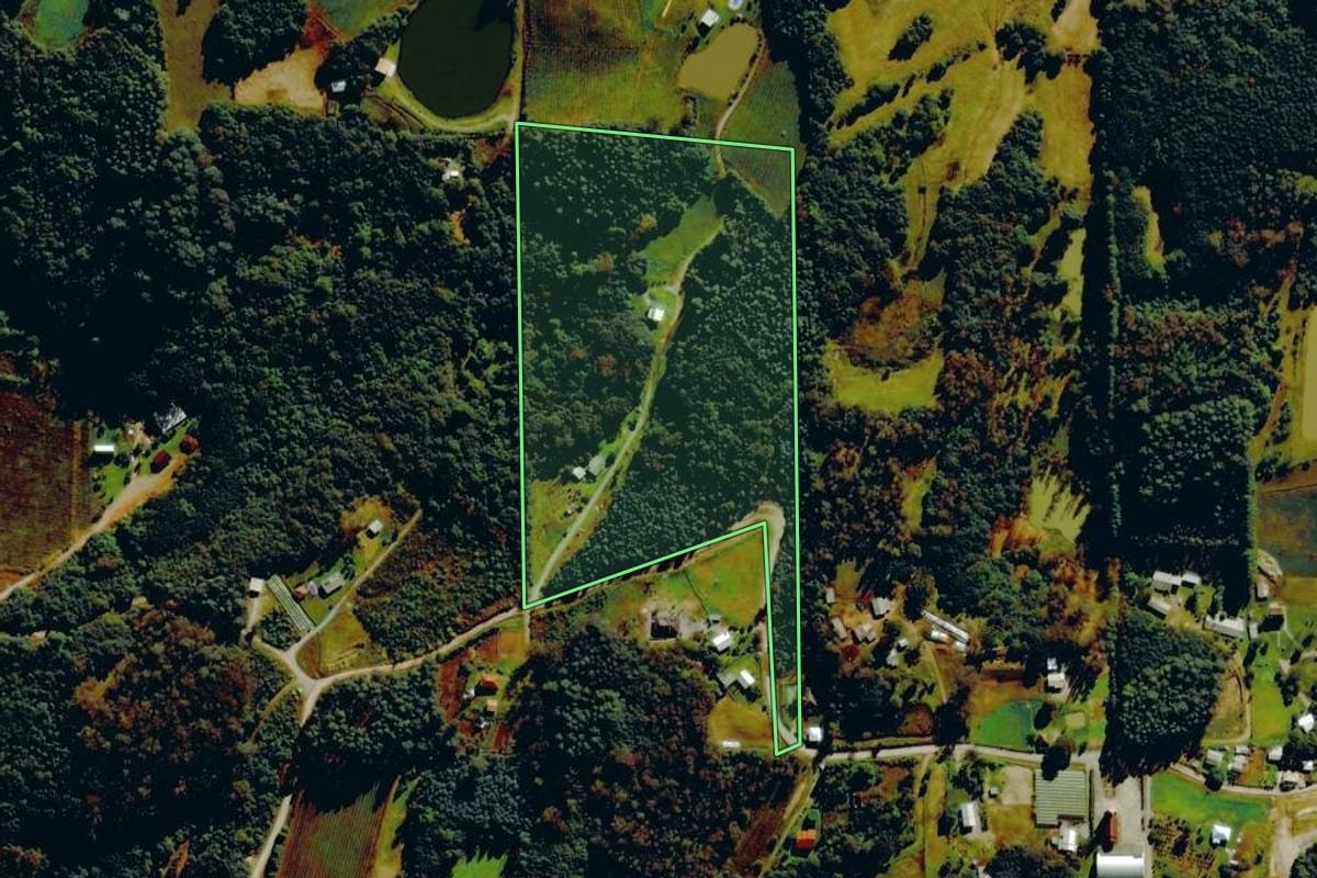 Imagem de satélite do imóvel rural em Farroupilha (RS), com o contorno declarado no CAR desenhado por cima.