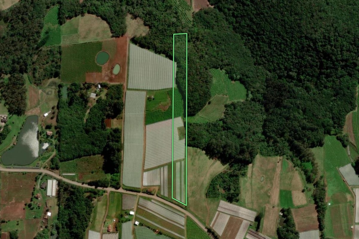 Imagem de satélite do imóvel rural em Farroupilha (RS), com o contorno declarado no CAR desenhado por cima.