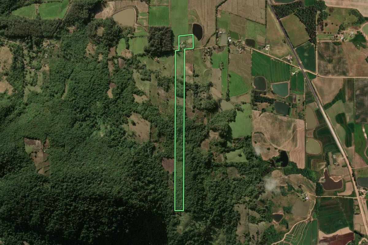 Imagem de satélite do imóvel rural em Faxinal do Soturno (RS), com o contorno declarado no CAR desenhado por cima.