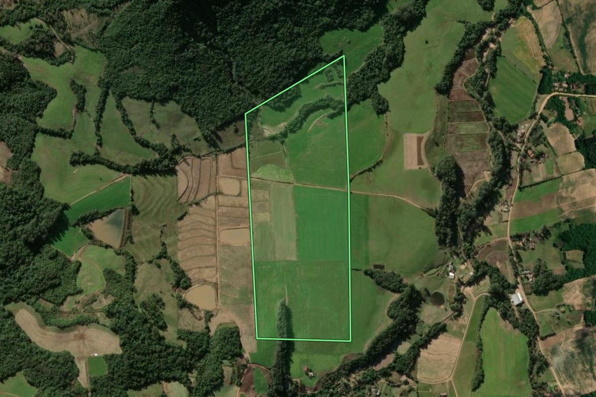 Imagem de satélite do imóvel rural em Faxinal do Soturno (RS), com o contorno declarado no CAR desenhado por cima.