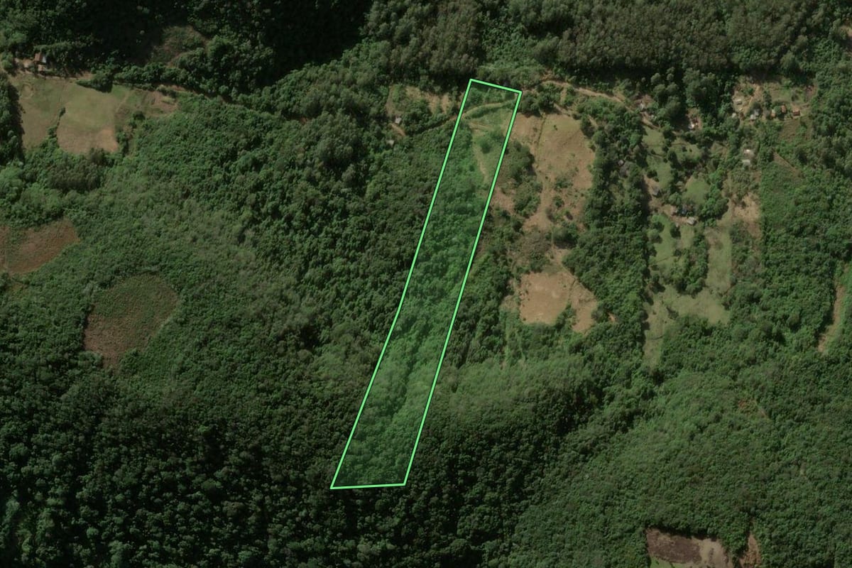 Imagem de satélite do imóvel rural em Faxinal do Soturno (RS), com o contorno declarado no CAR desenhado por cima.