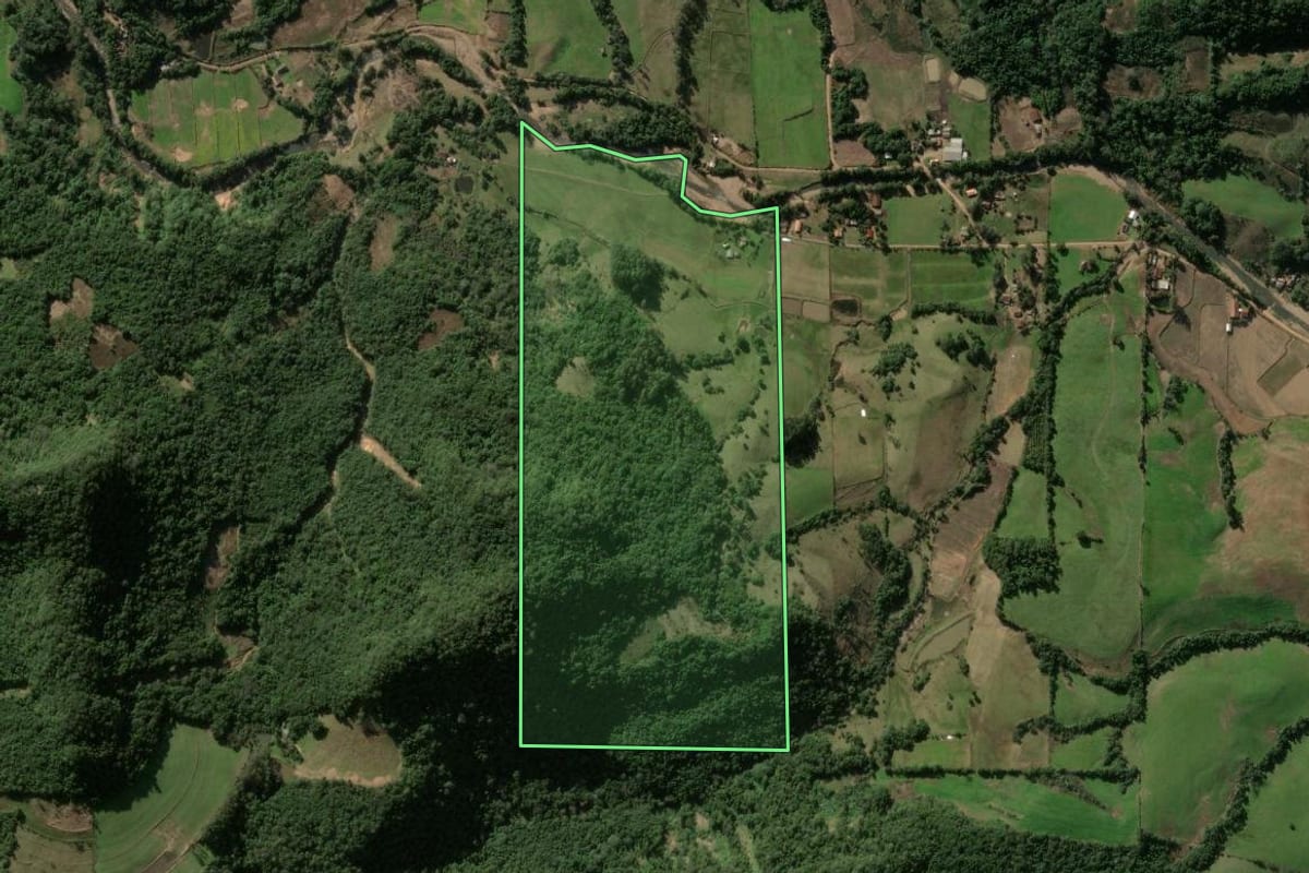 Imagem de satélite do imóvel rural em Faxinal do Soturno (RS), com o contorno declarado no CAR desenhado por cima.