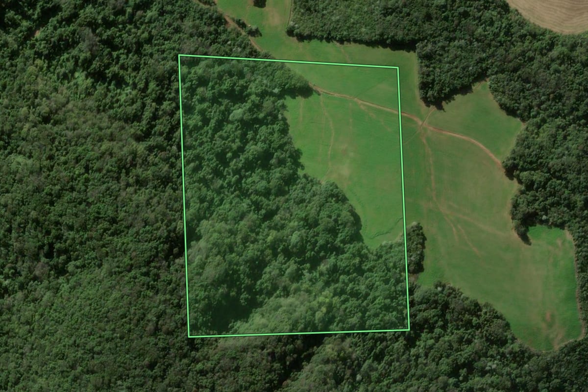 Imagem de satélite do imóvel rural em Faxinal do Soturno (RS), com o contorno declarado no CAR desenhado por cima.
