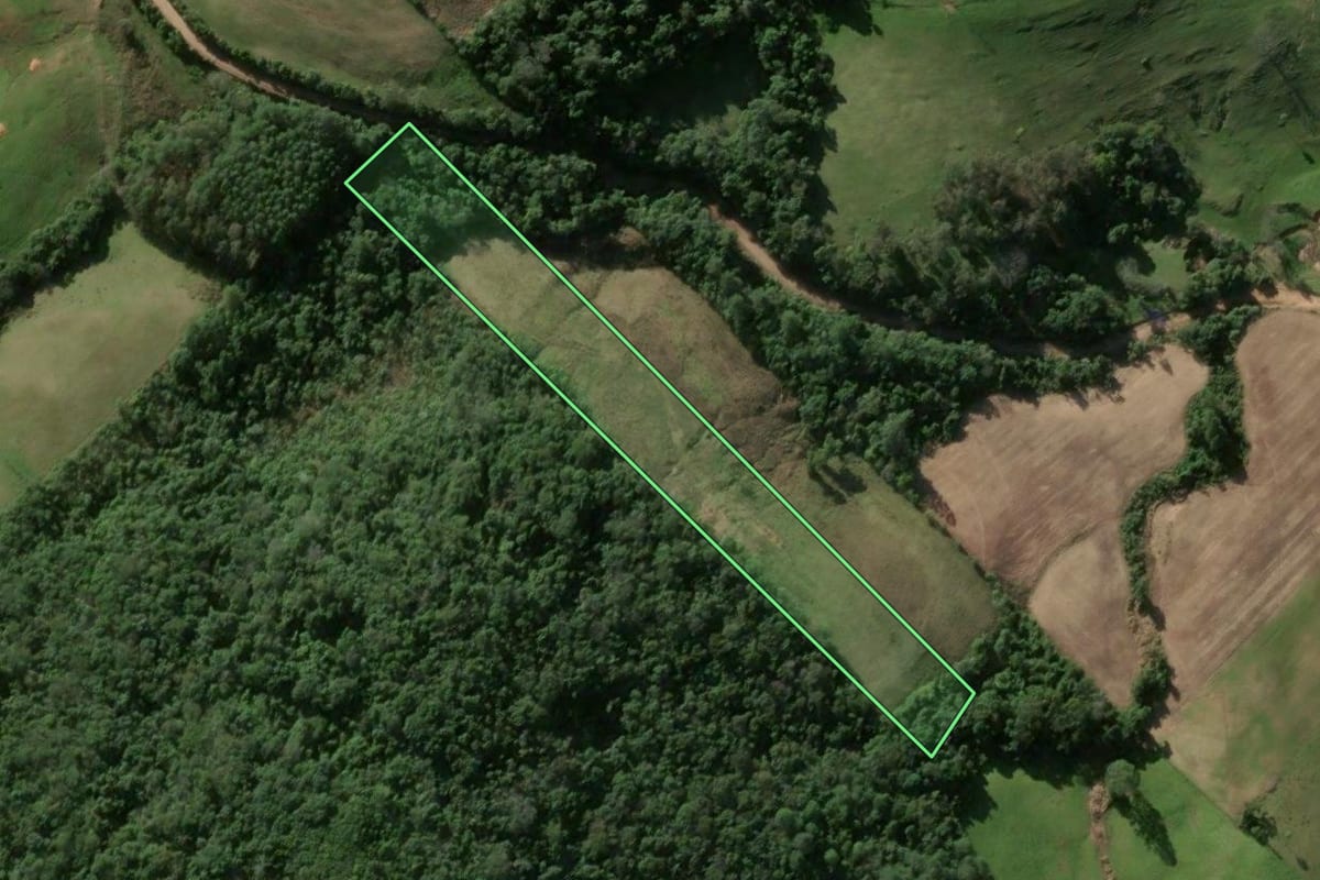 Imagem de satélite do imóvel rural em Faxinal do Soturno (RS), com o contorno declarado no CAR desenhado por cima.