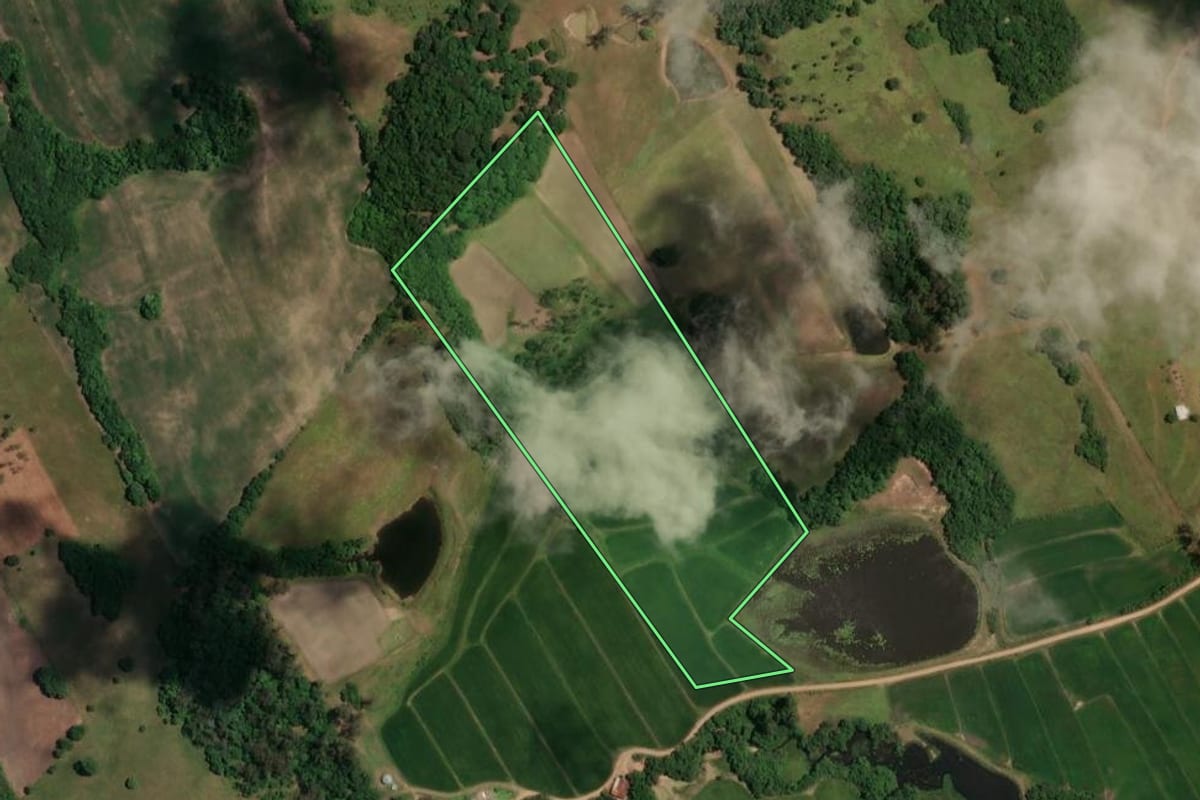 Imagem de satélite do imóvel rural em Faxinal do Soturno (RS), com o contorno declarado no CAR desenhado por cima.
