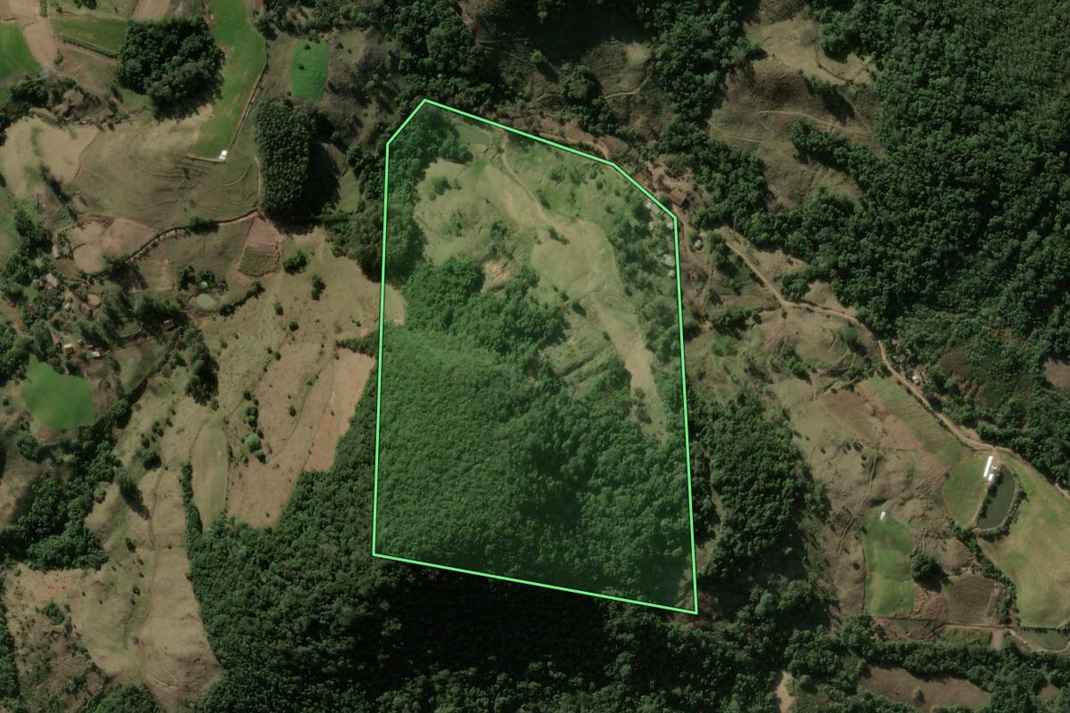 Imagem de satélite do imóvel rural em Faxinal do Soturno (RS), com o contorno declarado no CAR desenhado por cima.
