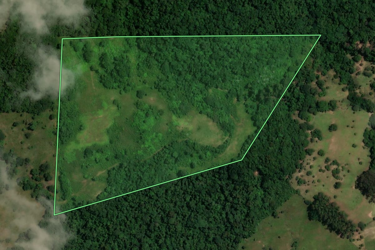 Imagem de satélite do imóvel rural em Faxinal do Soturno (RS), com o contorno declarado no CAR desenhado por cima.