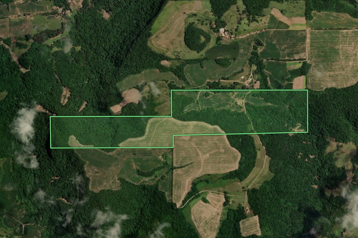 Imagem de satélite do imóvel rural em Faxinal do Soturno (RS), com o contorno declarado no CAR desenhado por cima.