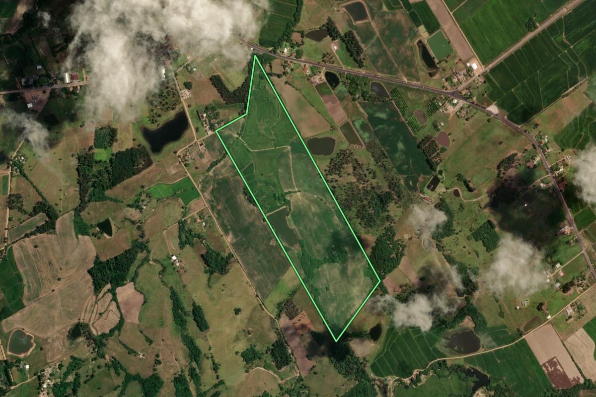 Imagem de satélite do imóvel rural em Faxinal do Soturno (RS), com o contorno declarado no CAR desenhado por cima.
