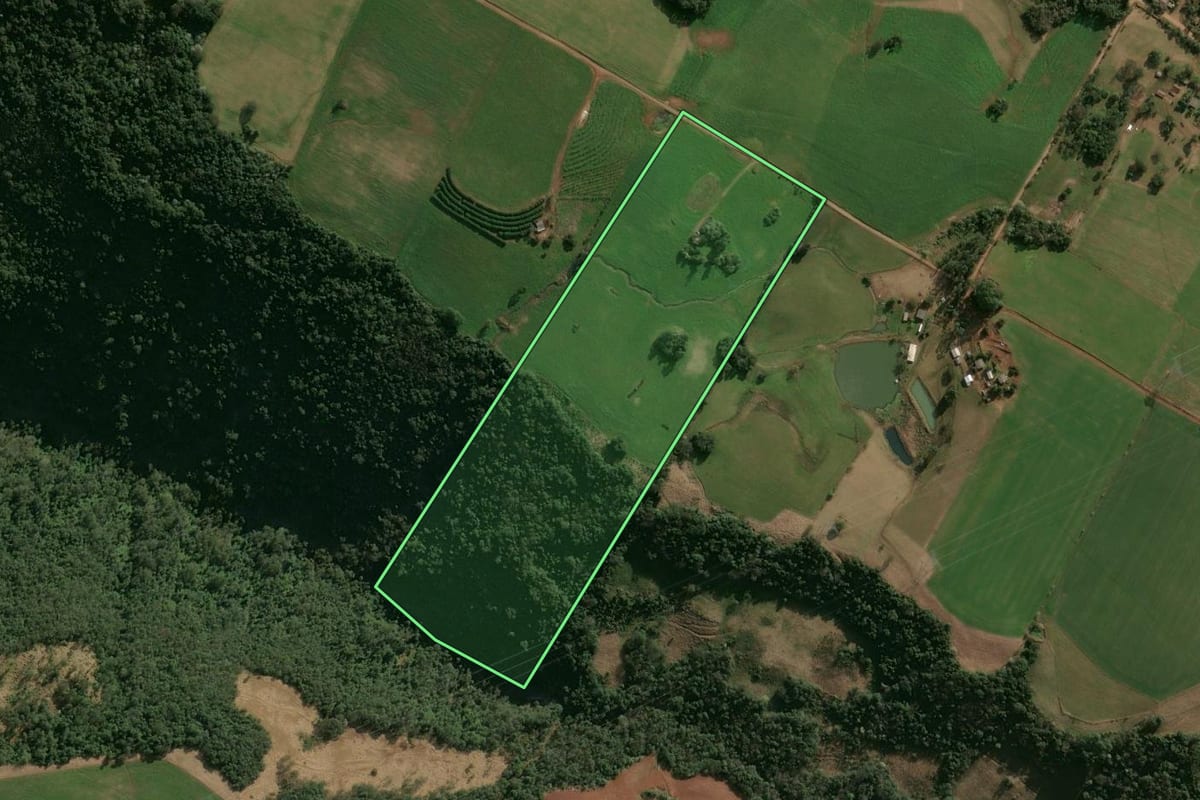 Imagem de satélite do imóvel rural em Faxinalzinho (RS), com o contorno declarado no CAR desenhado por cima.