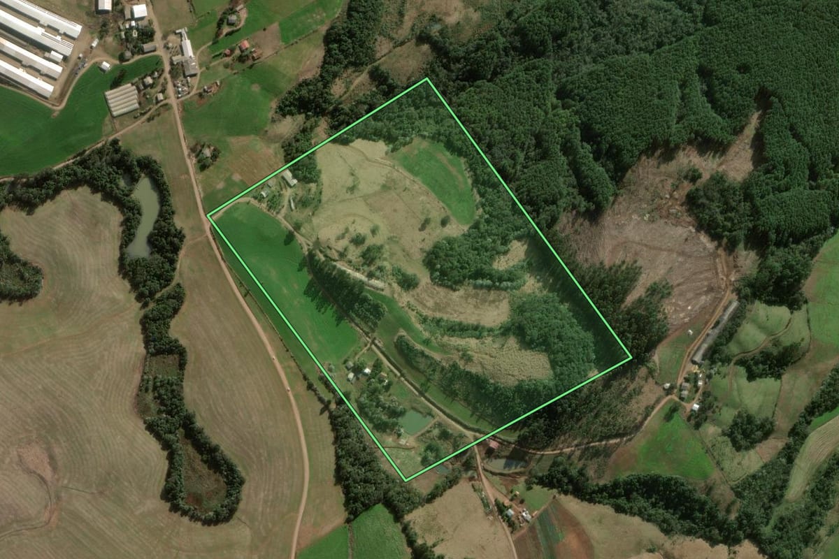 Imagem de satélite do imóvel rural em Faxinalzinho (RS), com o contorno declarado no CAR desenhado por cima.