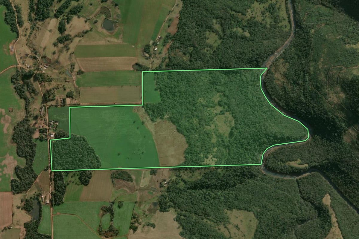 Imagem de satélite do imóvel rural em Faxinalzinho (RS), com o contorno declarado no CAR desenhado por cima.
