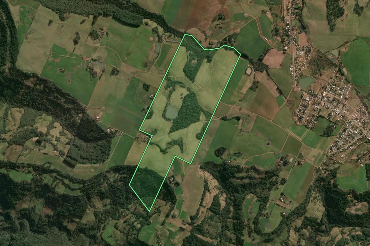 Imagem de satélite do imóvel rural em Faxinalzinho (RS), com o contorno declarado no CAR desenhado por cima.