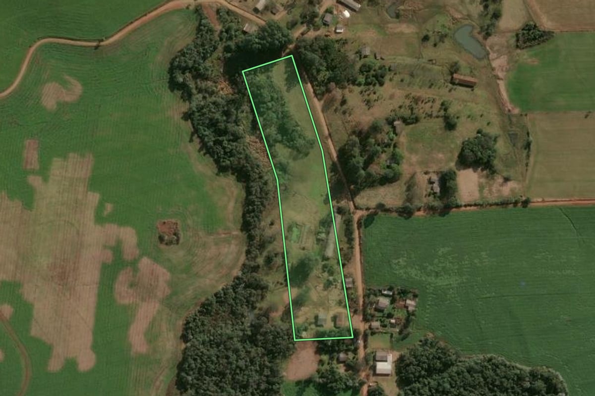 Imagem de satélite do imóvel rural em Faxinalzinho (RS), com o contorno declarado no CAR desenhado por cima.