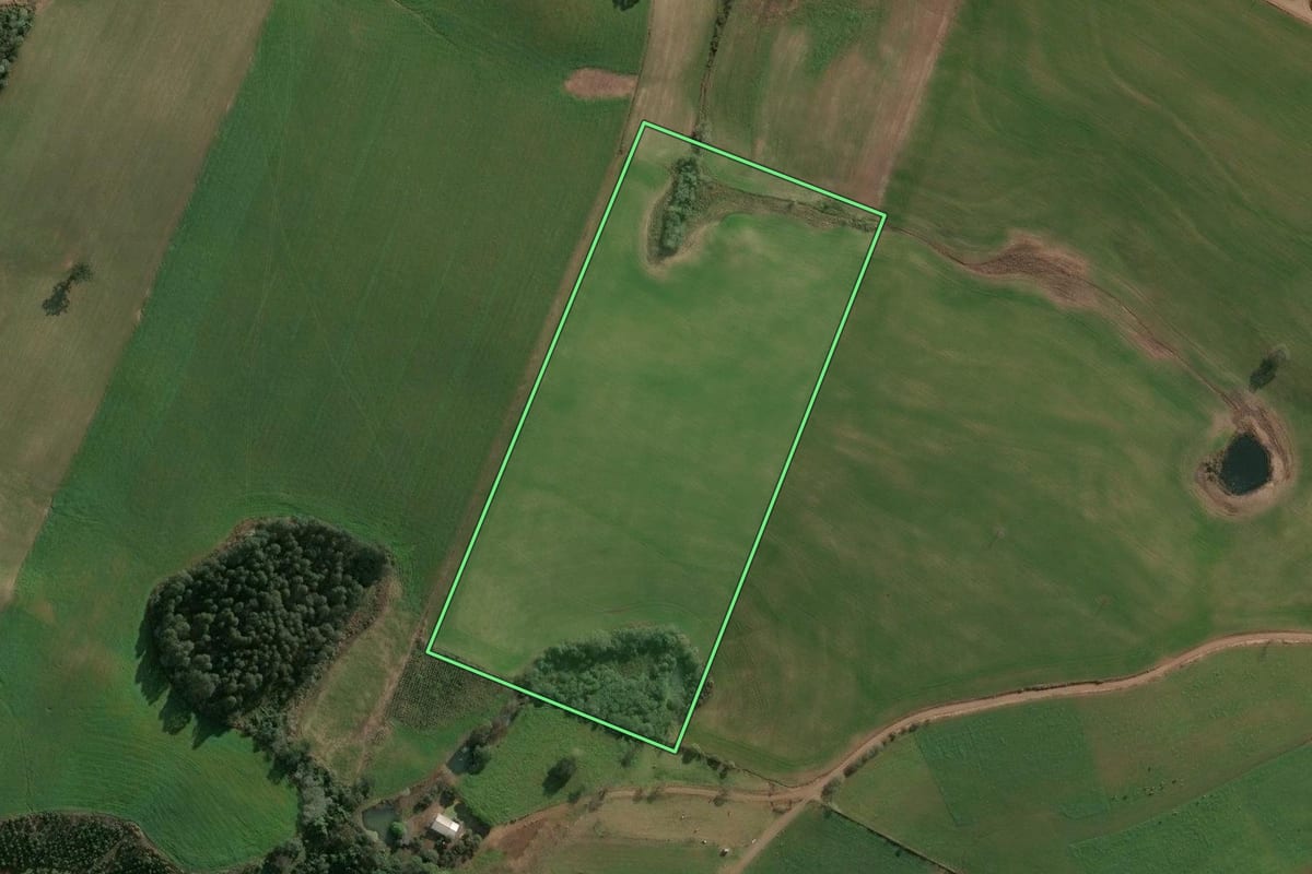 Imagem de satélite do imóvel rural em Faxinalzinho (RS), com o contorno declarado no CAR desenhado por cima.