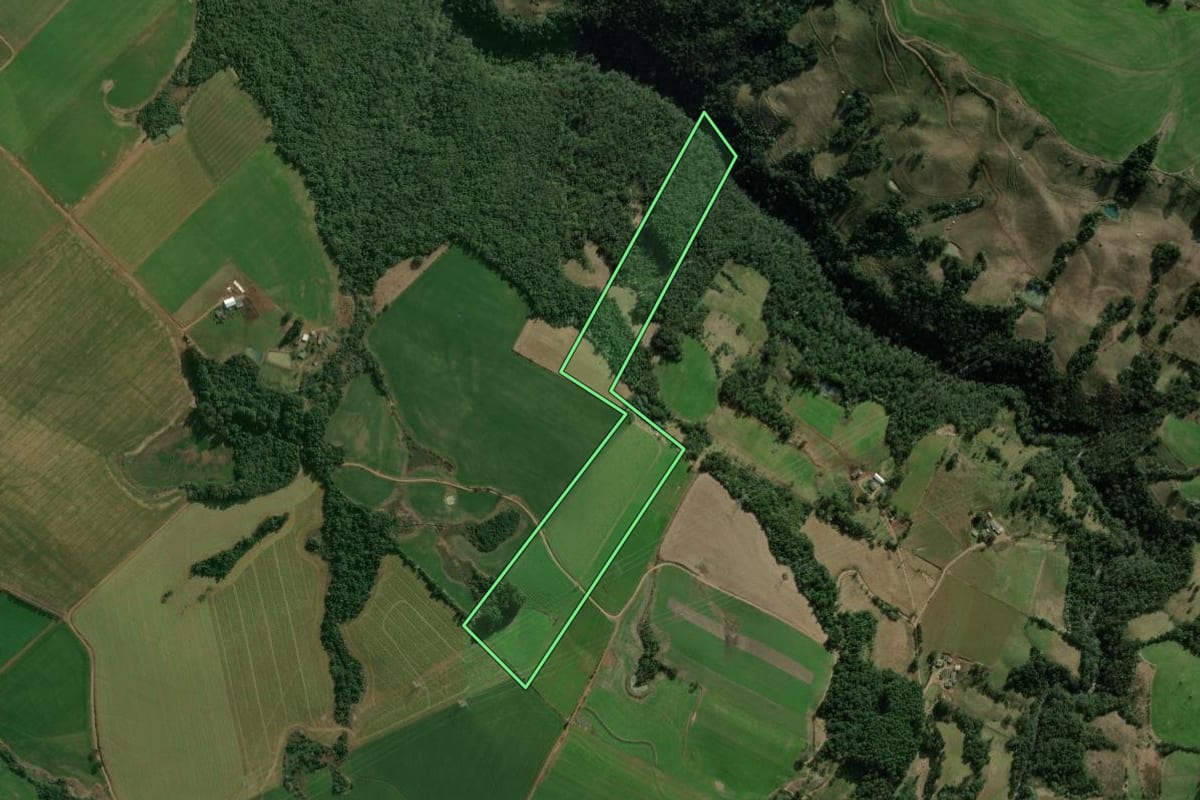 Imagem de satélite do imóvel rural em Faxinalzinho (RS), com o contorno declarado no CAR desenhado por cima.