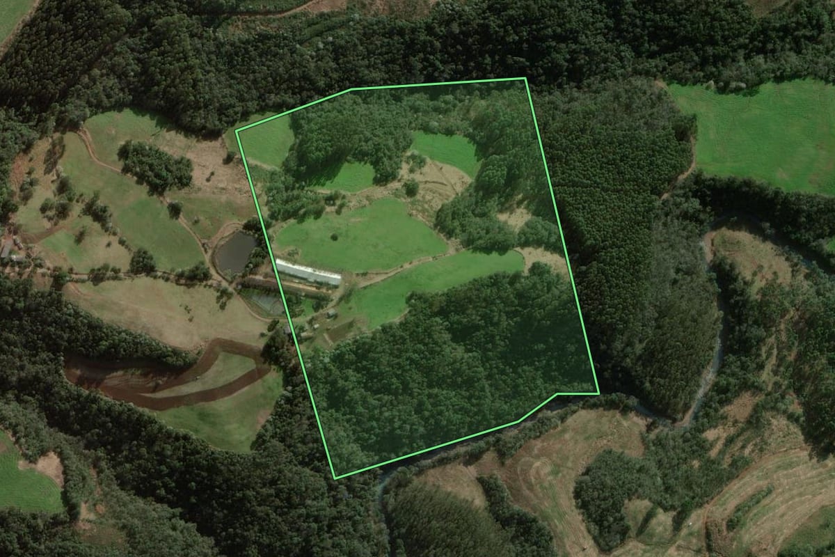 Imagem de satélite do imóvel rural em Faxinalzinho (RS), com o contorno declarado no CAR desenhado por cima.