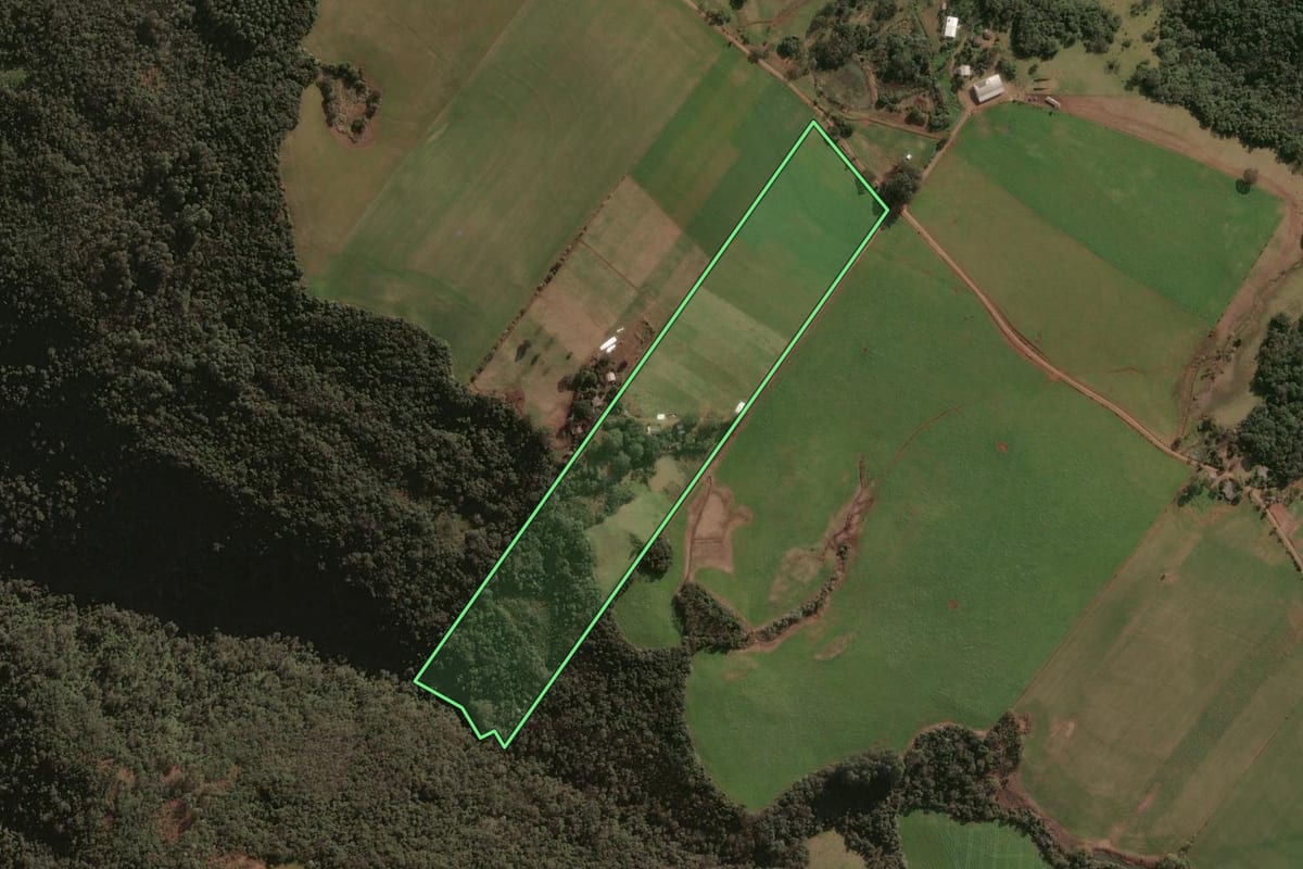Imagem de satélite do imóvel rural em Faxinalzinho (RS), com o contorno declarado no CAR desenhado por cima.