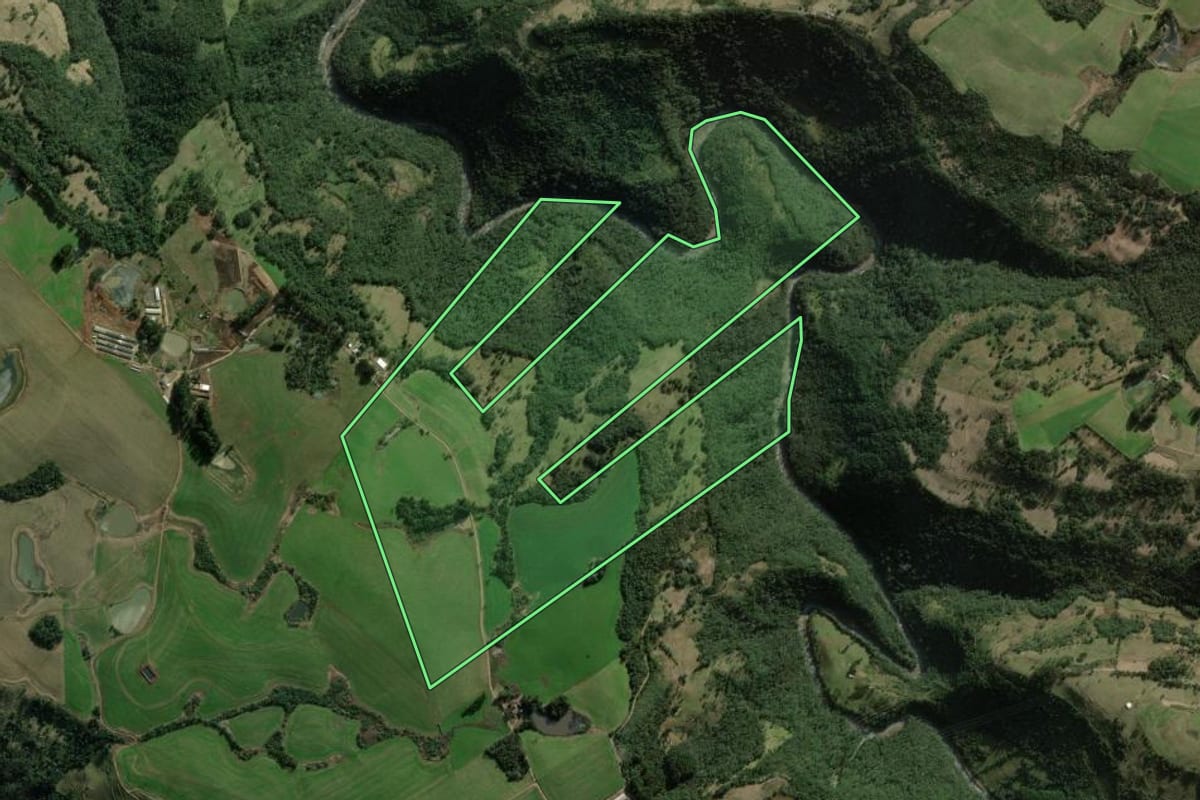 Imagem de satélite do imóvel rural em Faxinalzinho (RS), com o contorno declarado no CAR desenhado por cima.