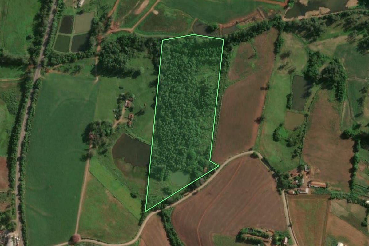 Imagem de satélite do imóvel rural em Fazenda Vilanova (RS), com o contorno declarado no CAR desenhado por cima.