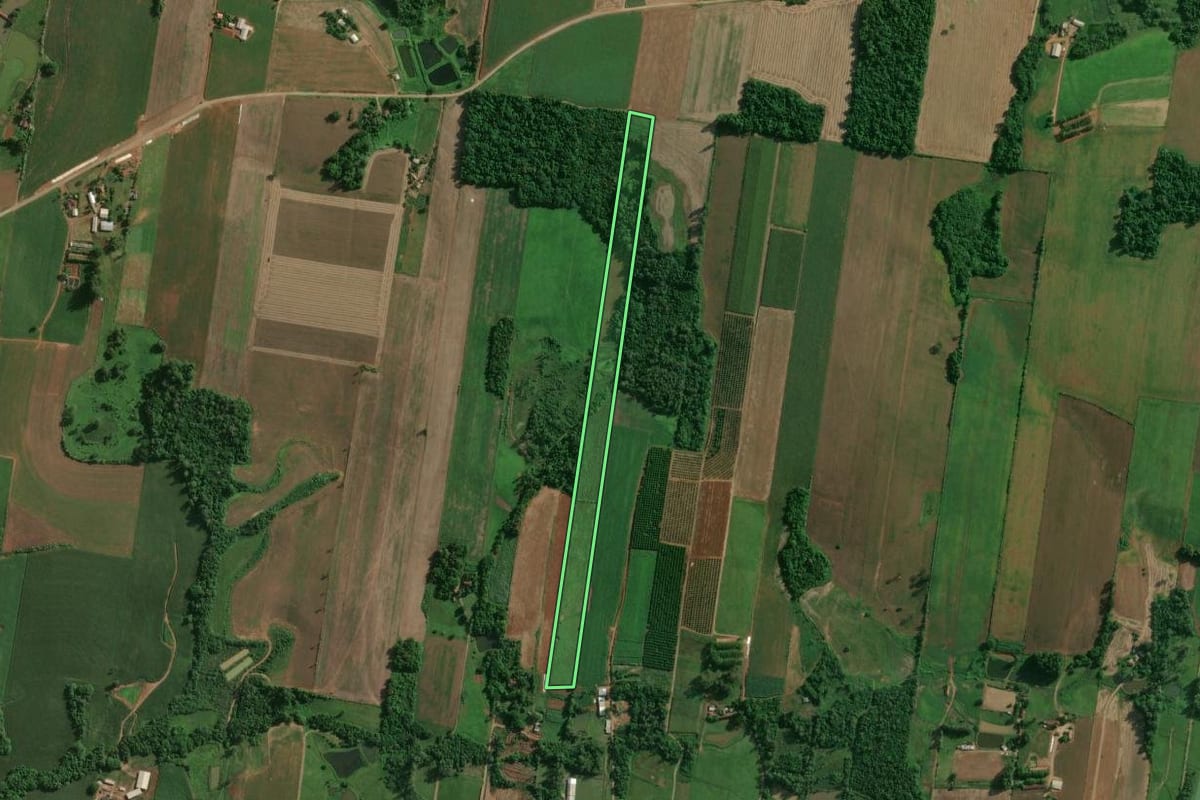 Imagem de satélite do imóvel rural em Fazenda Vilanova (RS), com o contorno declarado no CAR desenhado por cima.