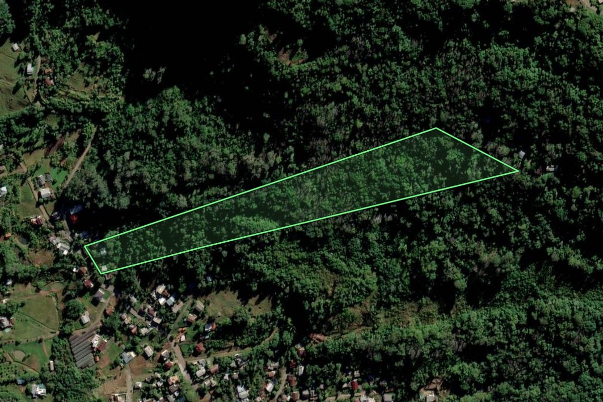 Imagem de satélite do imóvel rural em Feliz (RS), com o contorno declarado no CAR desenhado por cima.