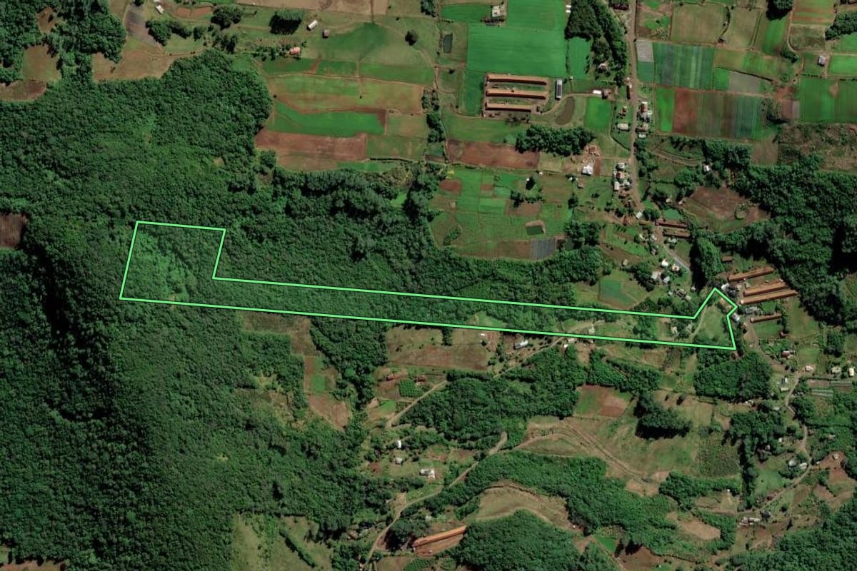 Imagem de satélite do imóvel rural em Feliz (RS), com o contorno declarado no CAR desenhado por cima.