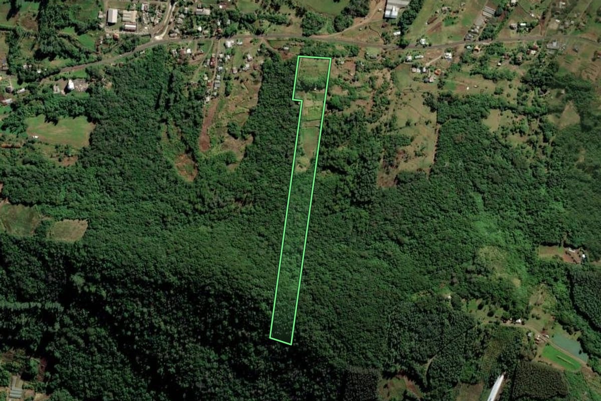 Imagem de satélite do imóvel rural em Feliz (RS), com o contorno declarado no CAR desenhado por cima.