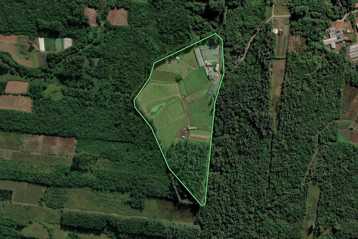 Imagem de satélite do imóvel rural em Feliz (RS), com o contorno declarado no CAR desenhado por cima.