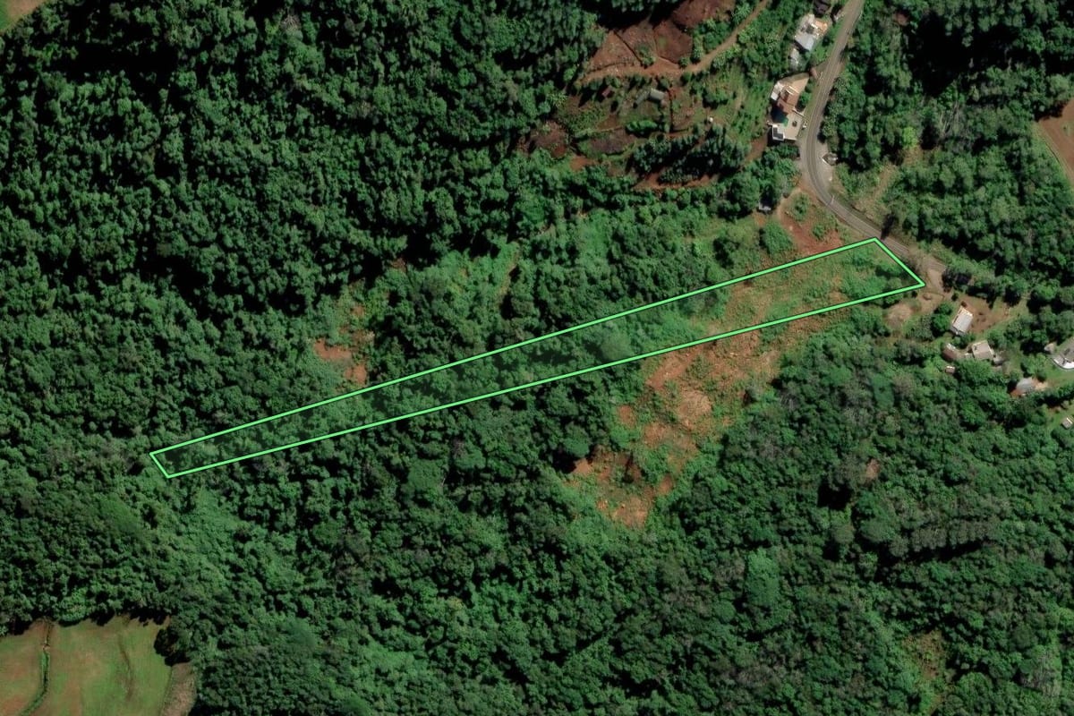 Imagem de satélite do imóvel rural em Feliz (RS), com o contorno declarado no CAR desenhado por cima.