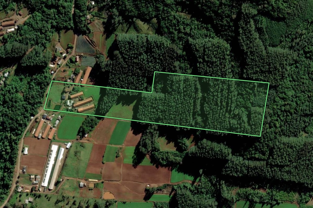 Imagem de satélite do imóvel rural em Feliz (RS), com o contorno declarado no CAR desenhado por cima.