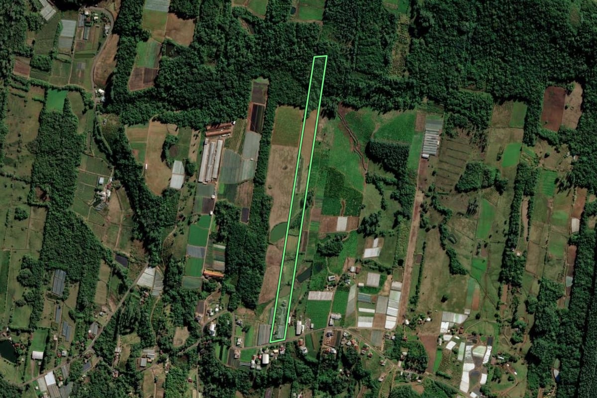 Imagem de satélite do imóvel rural em São Sebastião do Caí (RS), com o contorno declarado no CAR desenhado por cima.