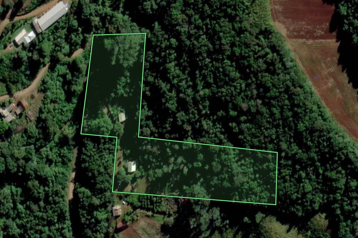Imagem de satélite do imóvel rural em Feliz (RS), com o contorno declarado no CAR desenhado por cima.