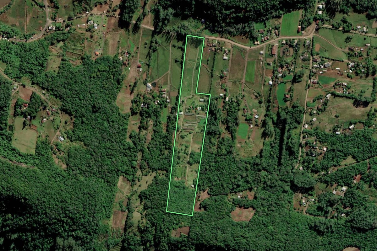 Imagem de satélite do imóvel rural em Feliz (RS), com o contorno declarado no CAR desenhado por cima.