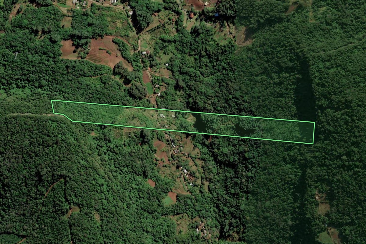 Imagem de satélite do imóvel rural em Feliz (RS), com o contorno declarado no CAR desenhado por cima.