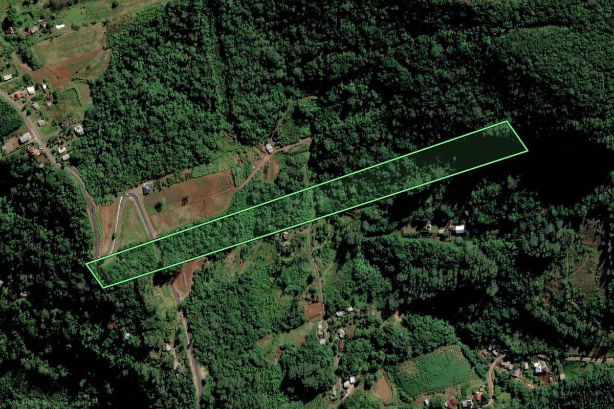 Imagem de satélite do imóvel rural em Feliz (RS), com o contorno declarado no CAR desenhado por cima.