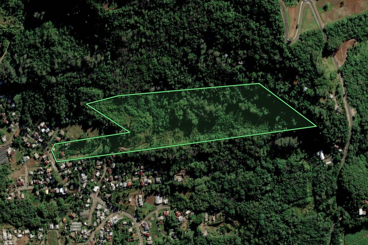 Imagem de satélite do imóvel rural em Feliz (RS), com o contorno declarado no CAR desenhado por cima.