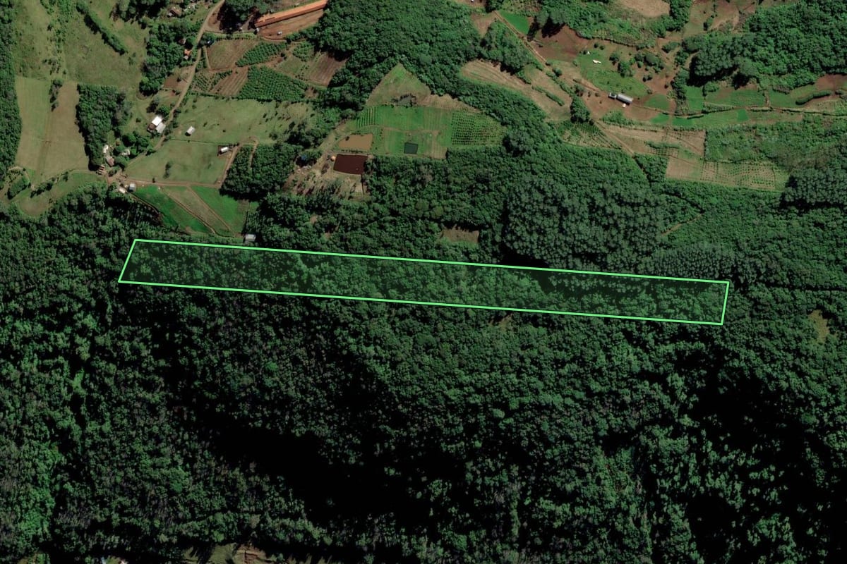 Imagem de satélite do imóvel rural em Feliz (RS), com o contorno declarado no CAR desenhado por cima.