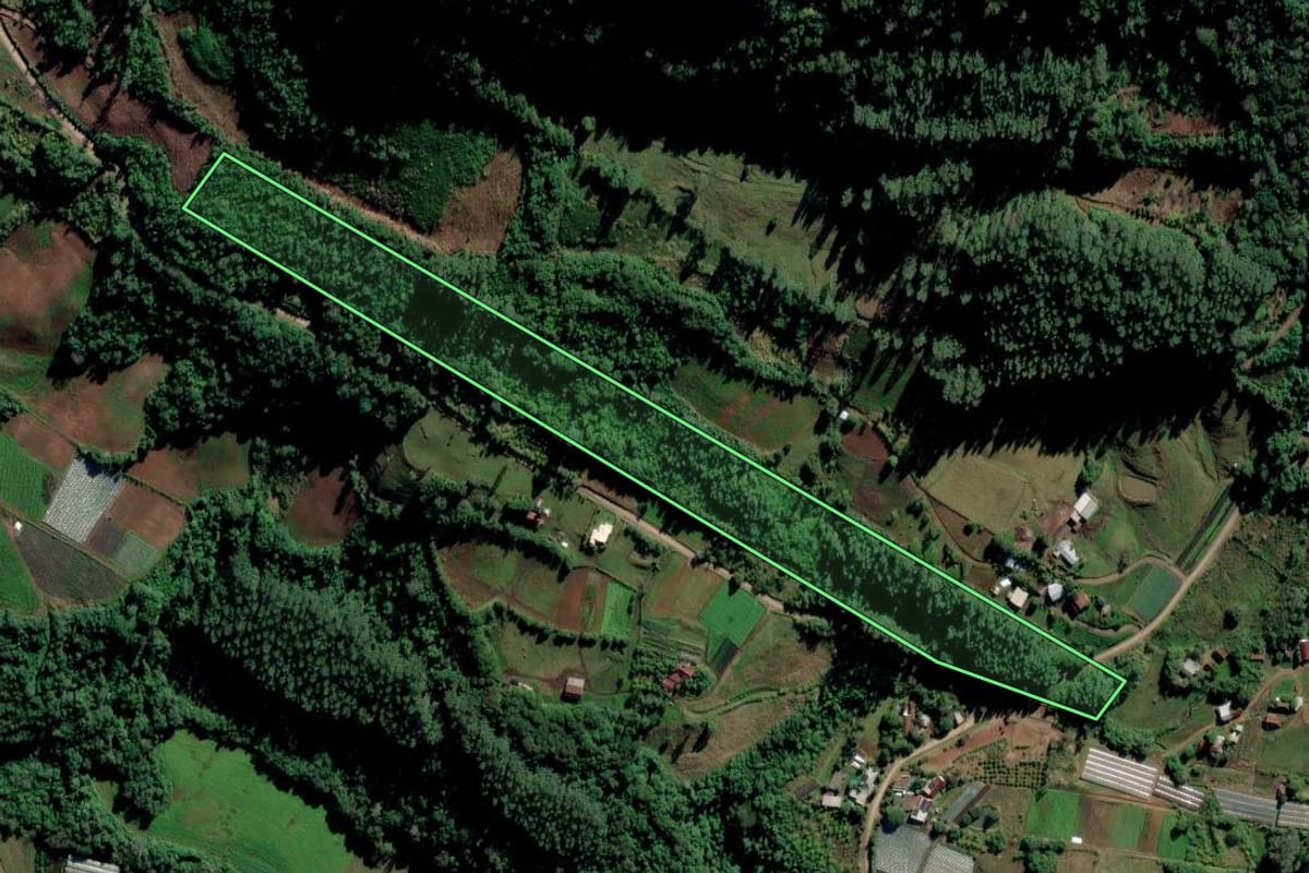 Imagem de satélite do imóvel rural em Feliz (RS), com o contorno declarado no CAR desenhado por cima.