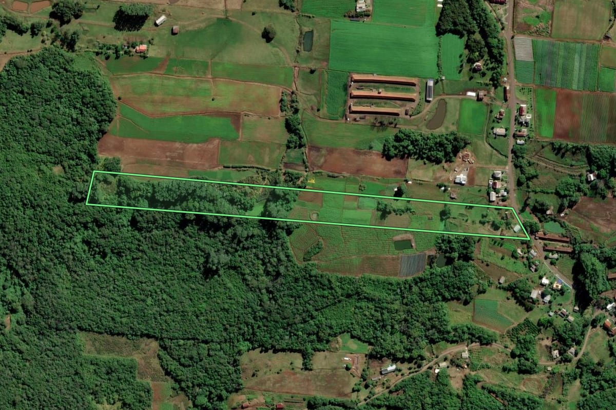 Imagem de satélite do imóvel rural em Feliz (RS), com o contorno declarado no CAR desenhado por cima.