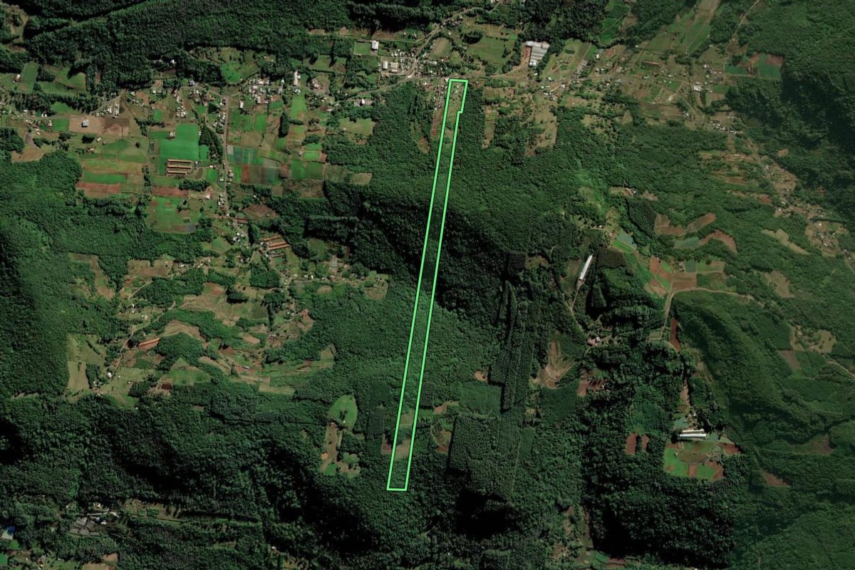 Imagem de satélite do imóvel rural em Feliz (RS), com o contorno declarado no CAR desenhado por cima.