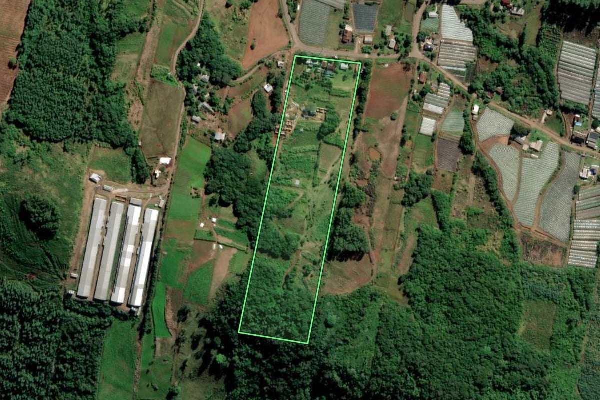 Imagem de satélite do imóvel rural em Feliz (RS), com o contorno declarado no CAR desenhado por cima.