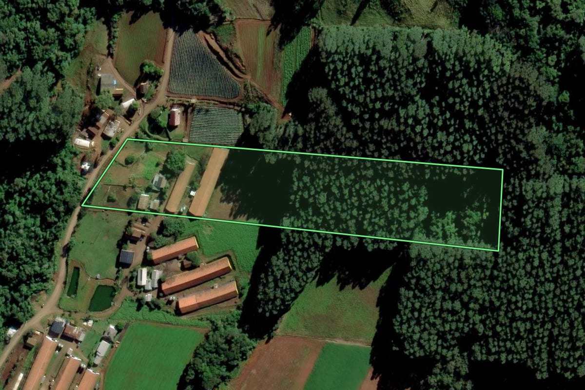 Imagem de satélite do imóvel rural em Feliz (RS), com o contorno declarado no CAR desenhado por cima.