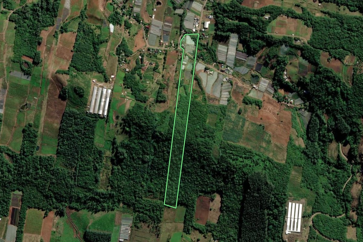 Imagem de satélite do imóvel rural em Feliz (RS), com o contorno declarado no CAR desenhado por cima.