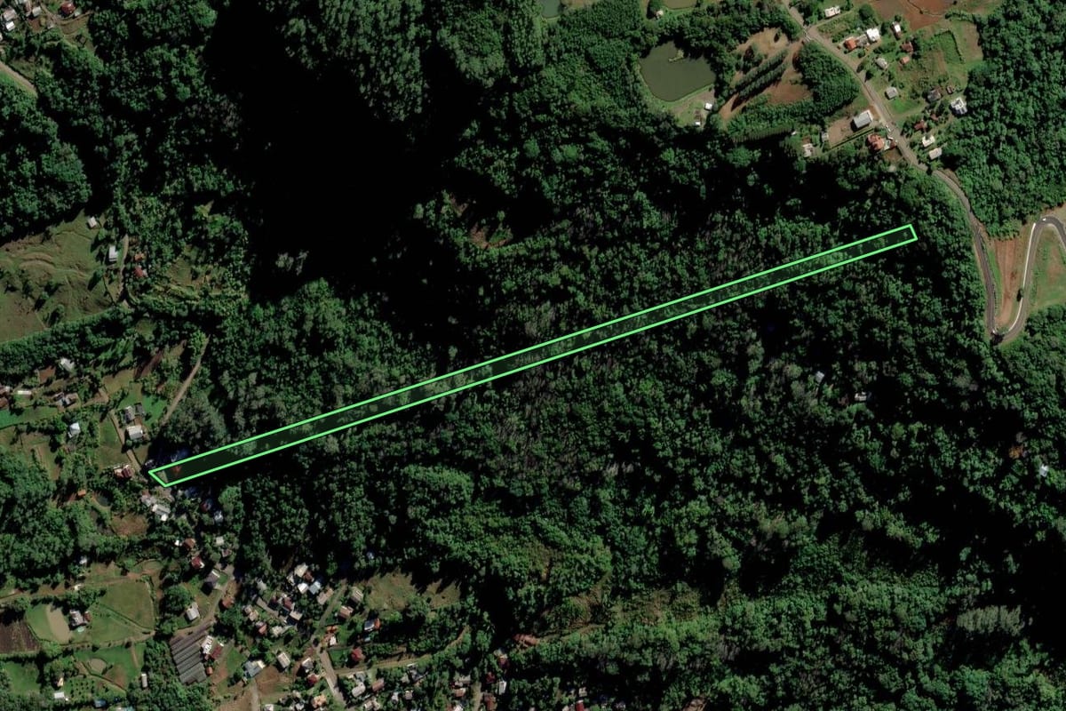 Imagem de satélite do imóvel rural em Feliz (RS), com o contorno declarado no CAR desenhado por cima.