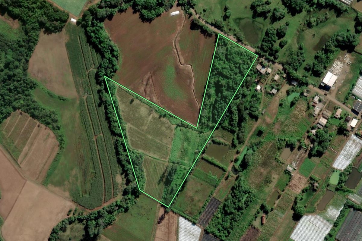 Imagem de satélite do imóvel rural em Feliz (RS), com o contorno declarado no CAR desenhado por cima.