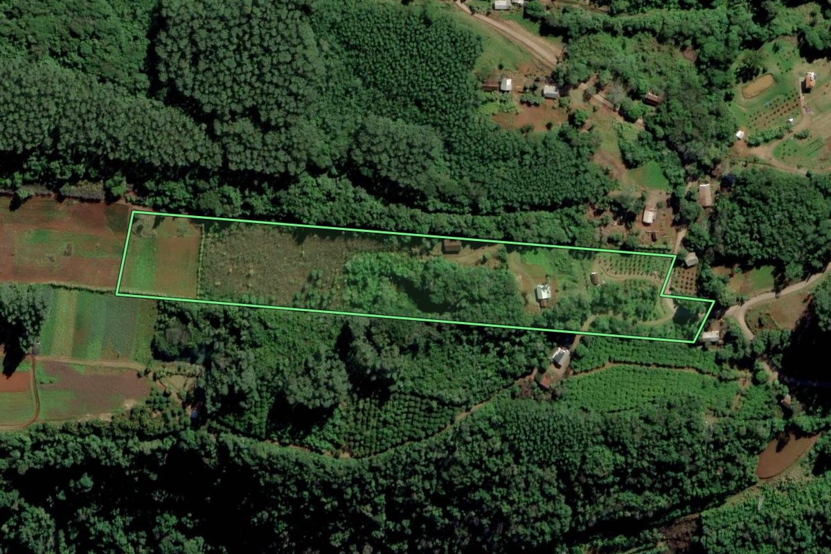 Imagem de satélite do imóvel rural em Feliz (RS), com o contorno declarado no CAR desenhado por cima.